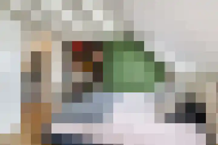 Albert van Schoonhovenlaan 21 Wateringen thumbnail 24