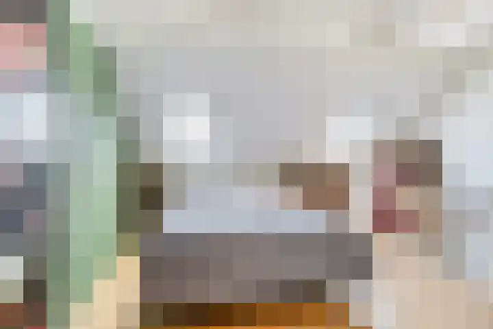 Albert van Schoonhovenlaan 21 Wateringen thumbnail 26
