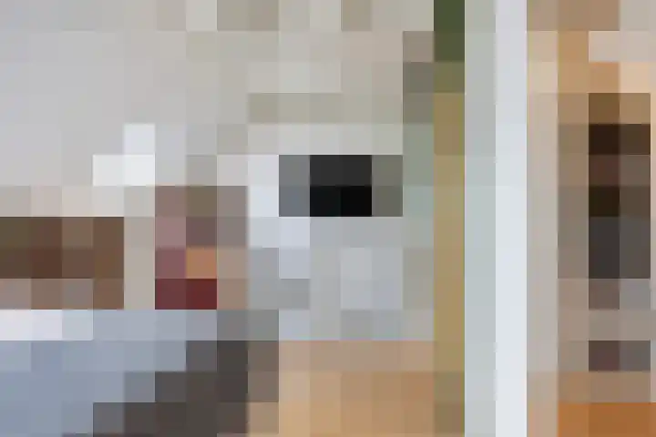 Albert van Schoonhovenlaan 21 Wateringen thumbnail 27