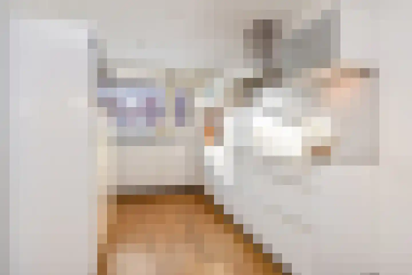 Albert van Schoonhovenlaan 5 Wateringen thumbnail 11