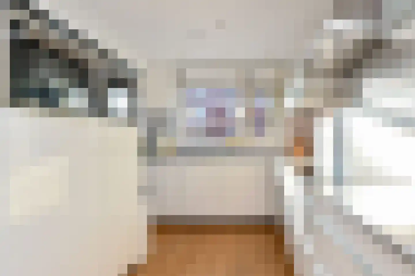 Albert van Schoonhovenlaan 5 Wateringen thumbnail 12