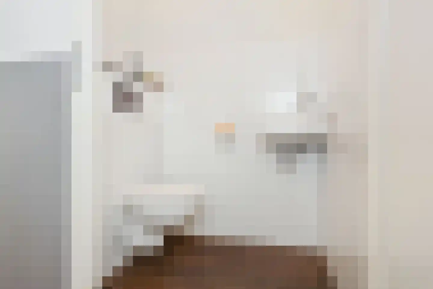 Albert van Schoonhovenlaan 5 Wateringen thumbnail 17