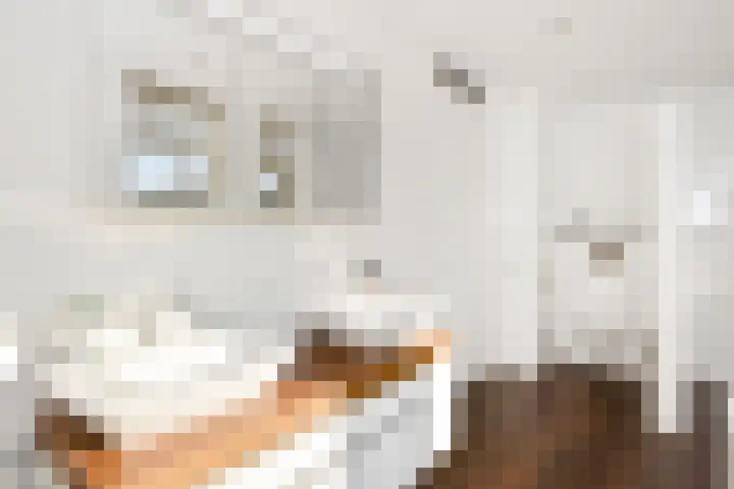 Albert van Schoonhovenlaan 5 Wateringen thumbnail 25