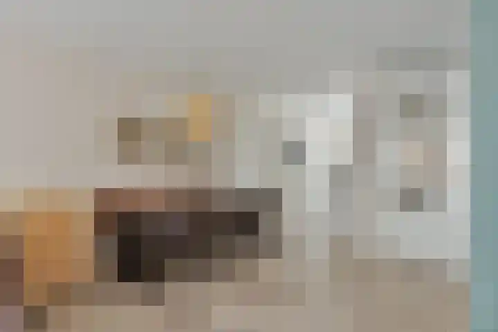 Albert van Schoonhovenlaan 7 Wateringen thumbnail 11