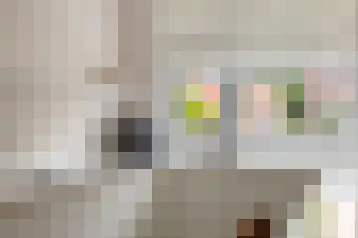 Albert van Schoonhovenlaan 7 Wateringen thumbnail 13