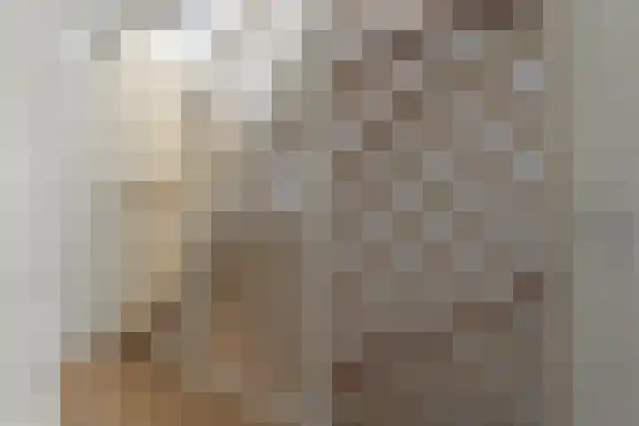 Albert van Schoonhovenlaan 7 Wateringen thumbnail 15