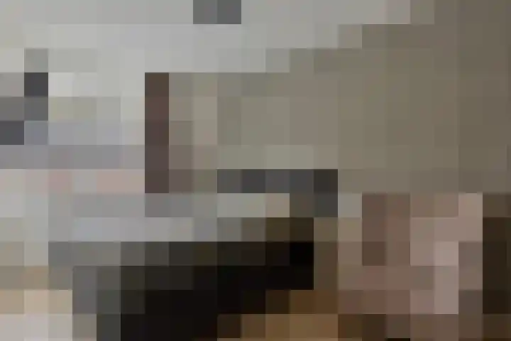 Albert van Schoonhovenlaan 7 Wateringen thumbnail 16