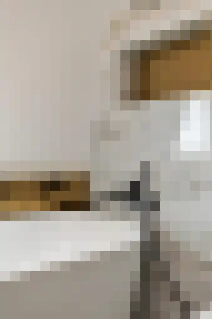 Albert van Schoonhovenlaan 7 Wateringen thumbnail 20