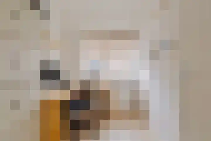Albert van Schoonhovenlaan 7 Wateringen thumbnail 25