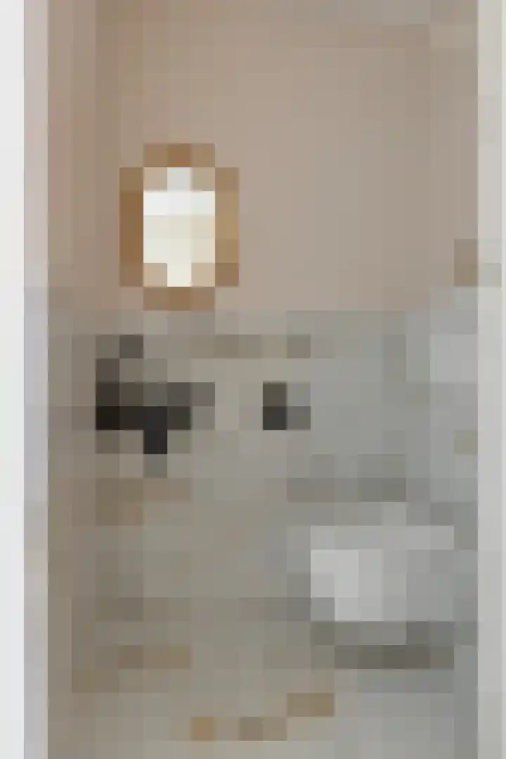 Albert van Schoonhovenlaan 7 Wateringen thumbnail 7