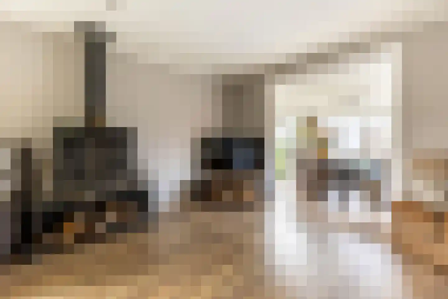 Albert van 't Hartweg 36 Nieuwerkerk aan den IJssel thumbnail 11