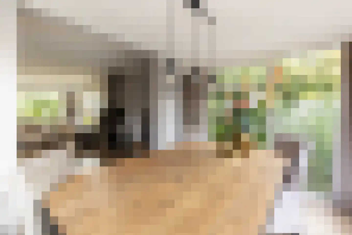 Albert van 't Hartweg 36 Nieuwerkerk aan den IJssel thumbnail 13