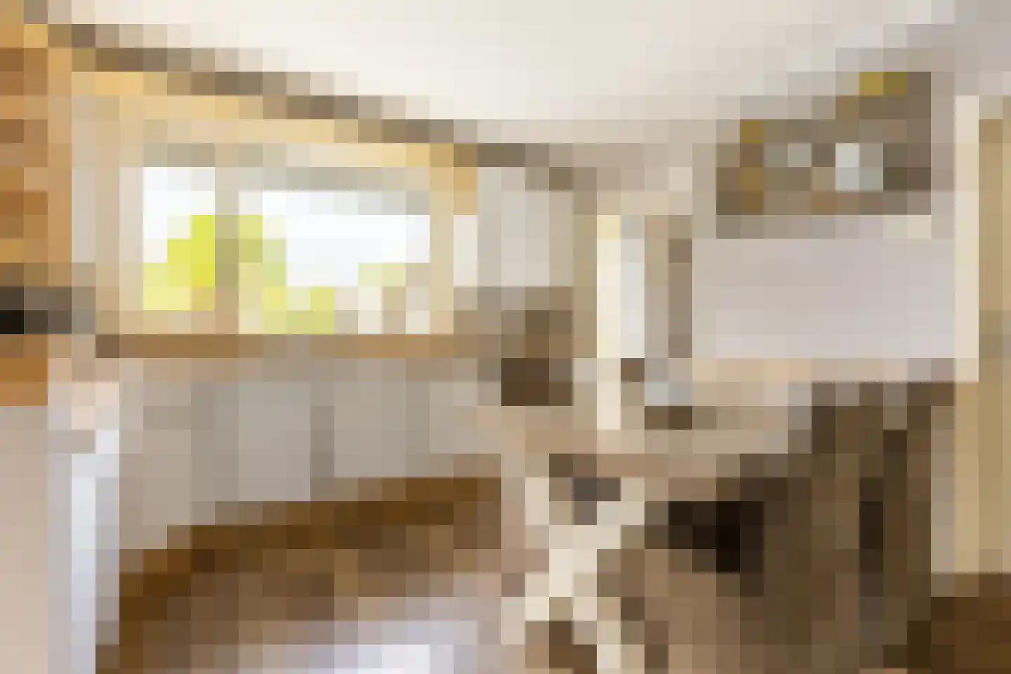 Albert van 't Hartweg 36 Nieuwerkerk aan den IJssel thumbnail 14