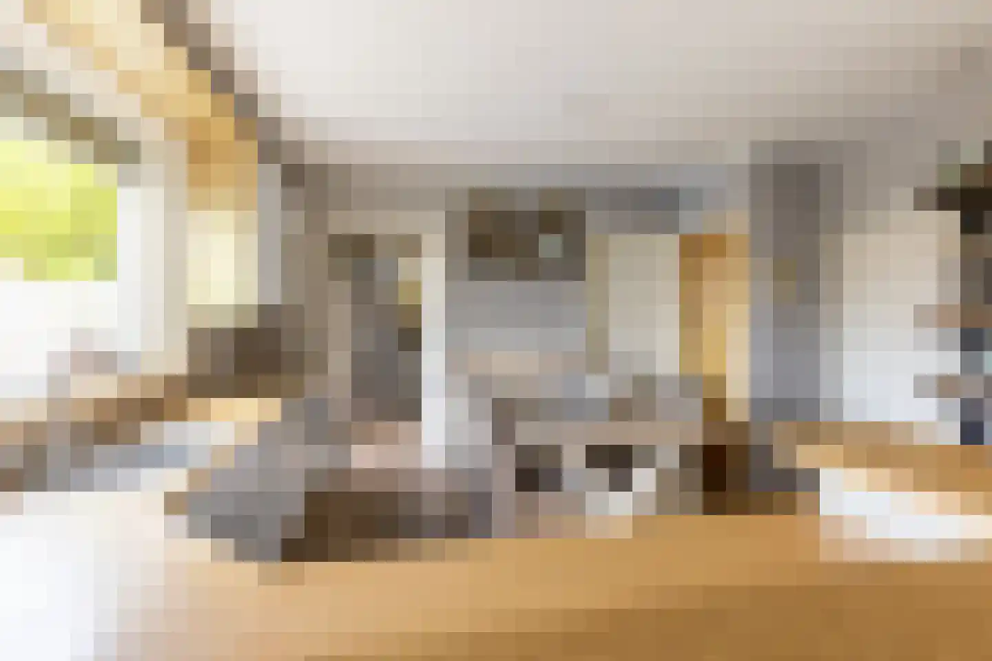 Albert van 't Hartweg 36 Nieuwerkerk aan den IJssel thumbnail 16