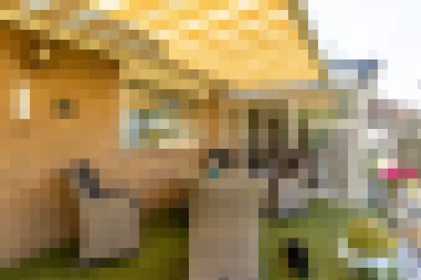 Albert van 't Hartweg 36 Nieuwerkerk aan den IJssel thumbnail 19