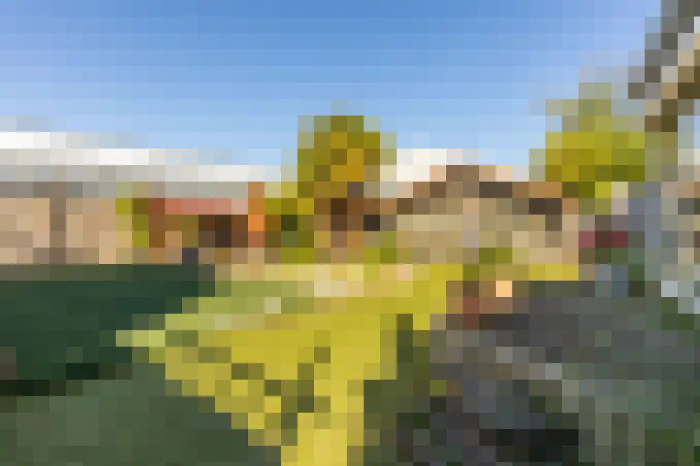 Albert van 't Hartweg 36 Nieuwerkerk aan den IJssel thumbnail 22