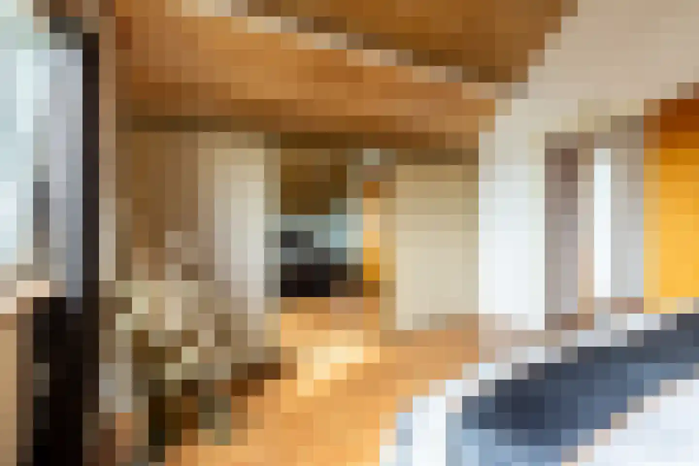 Albert van 't Hartweg 36 Nieuwerkerk aan den IJssel thumbnail 26