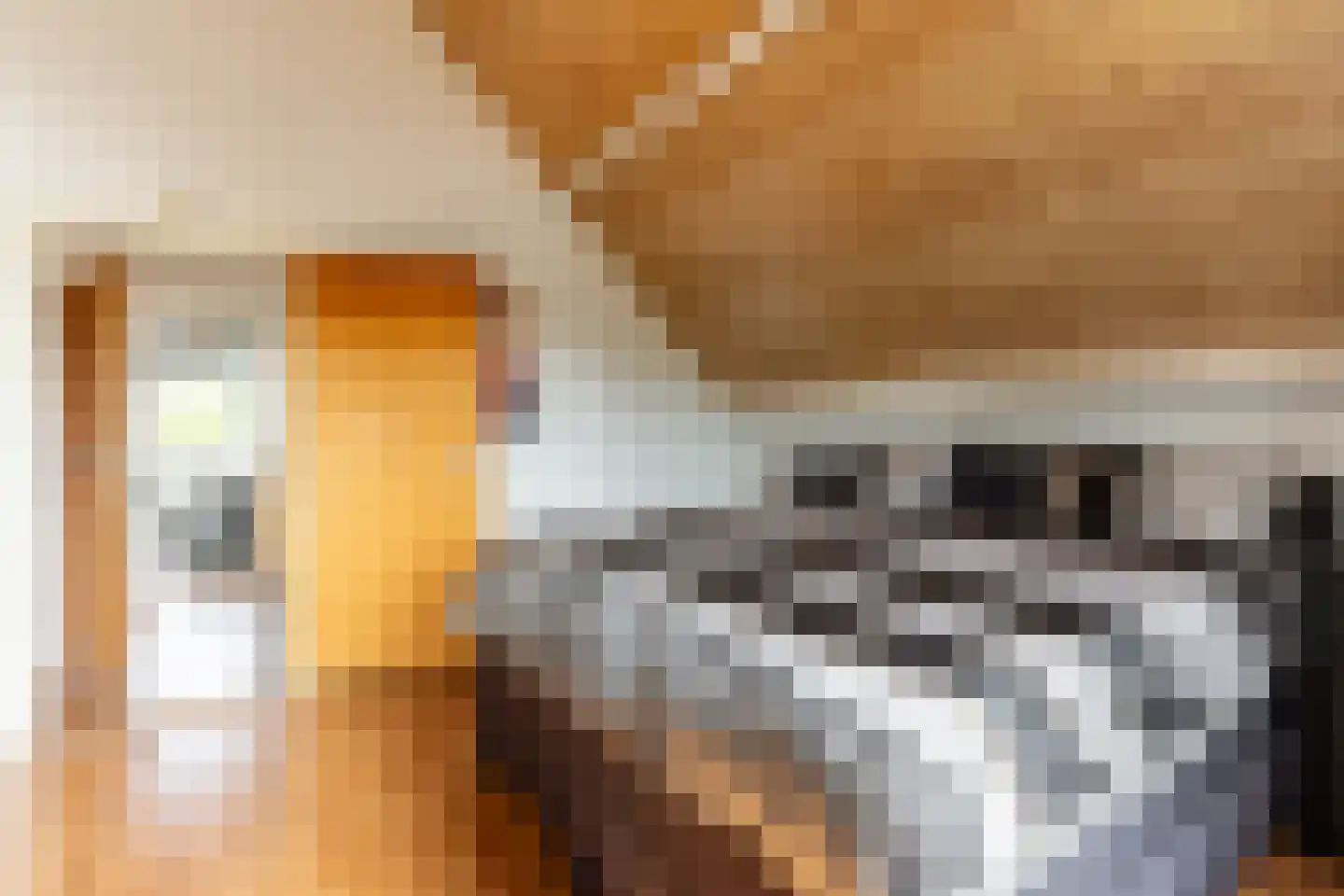 Albert van 't Hartweg 36 Nieuwerkerk aan den IJssel thumbnail 27