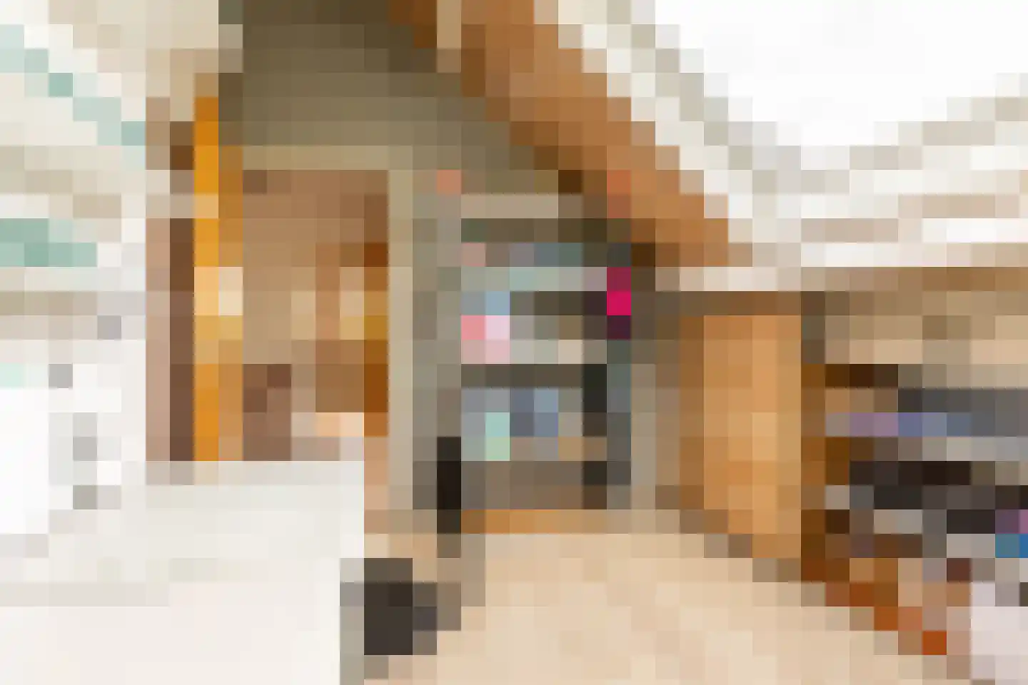 Albert van 't Hartweg 36 Nieuwerkerk aan den IJssel thumbnail 30