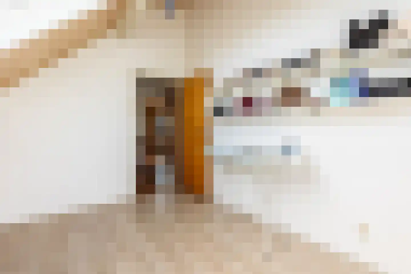Albert van 't Hartweg 36 Nieuwerkerk aan den IJssel thumbnail 37