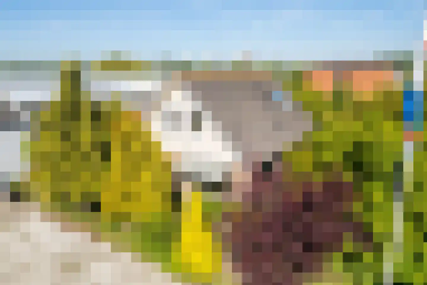 Albert van 't Hartweg 36 Nieuwerkerk aan den IJssel thumbnail 39