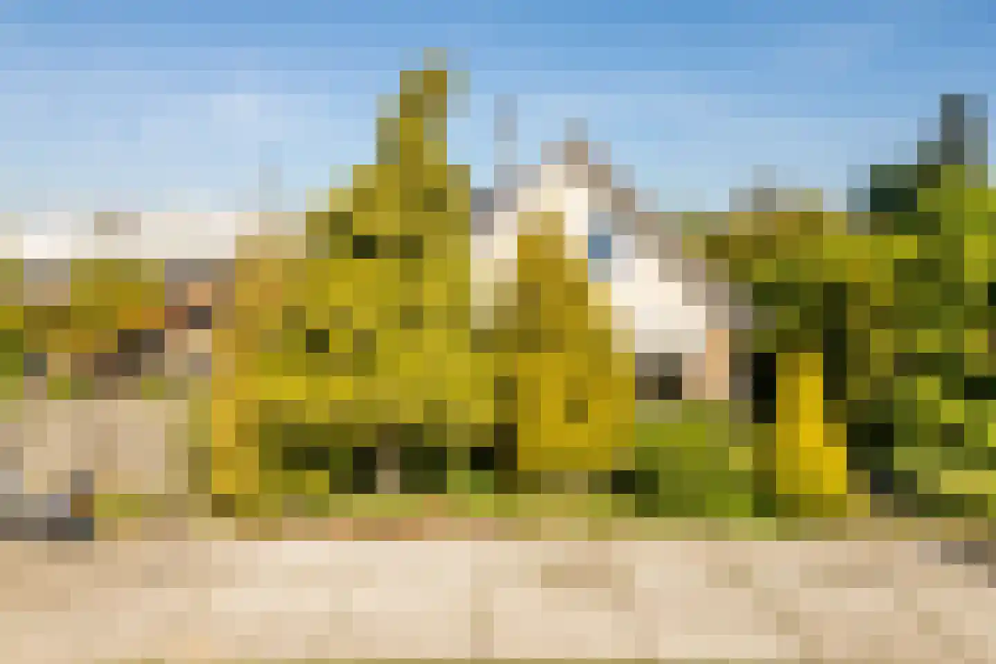 Albert van 't Hartweg 36 Nieuwerkerk aan den IJssel thumbnail 40