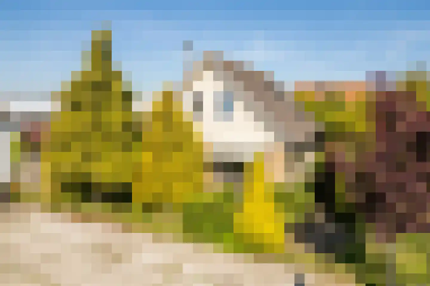 Albert van 't Hartweg 36 Nieuwerkerk aan den IJssel thumbnail 5