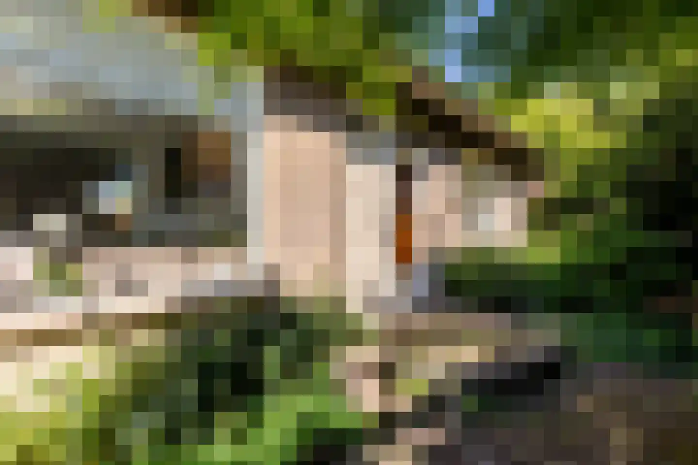 Albert van 't Hartweg 36 Nieuwerkerk aan den IJssel thumbnail 6