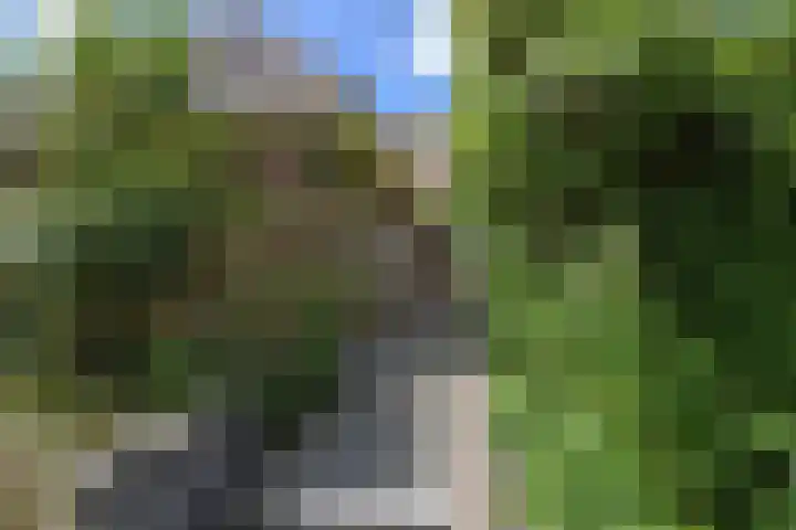Albert van 't Hartweg 45 Bleiswijk thumbnail 19