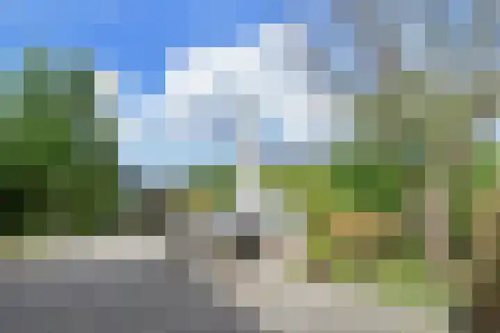 Albert van 't Hartweg 45 Bleiswijk thumbnail 20