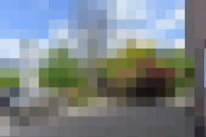 Albert van 't Hartweg 45 Bleiswijk thumbnail 21