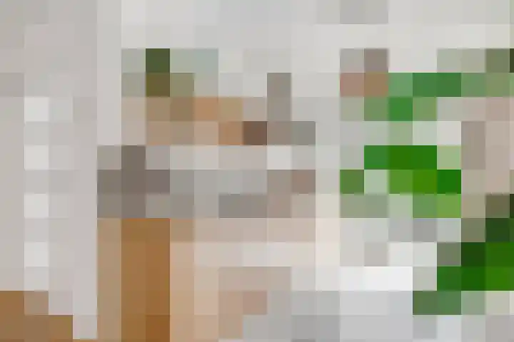 Albert Verweijlaan 104 Hillegom thumbnail 18