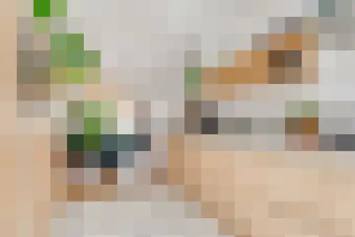 Albert Verweijlaan 104 Hillegom thumbnail 22