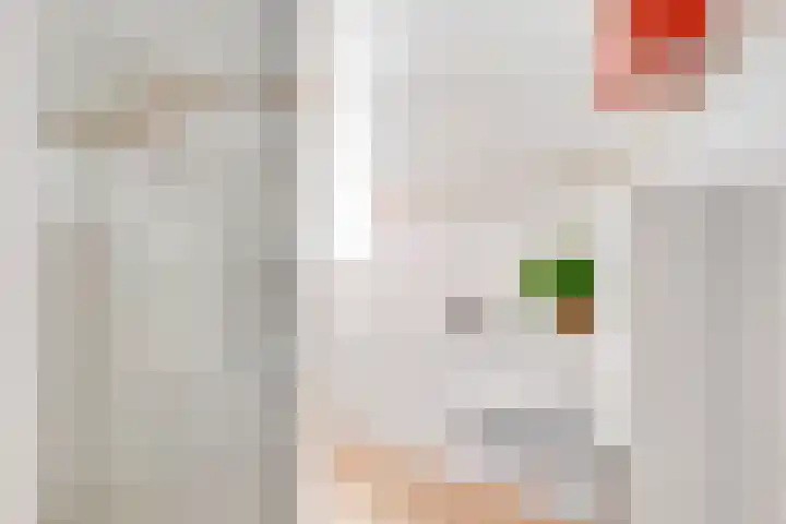 Albert Verweijlaan 104 Hillegom thumbnail 31