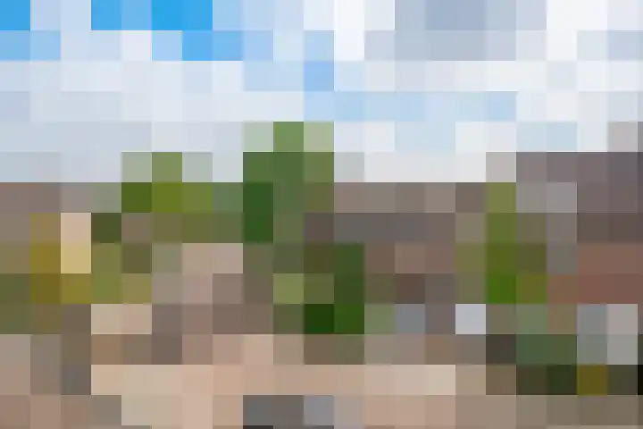 Albert Verweijlaan 104 Hillegom thumbnail 33