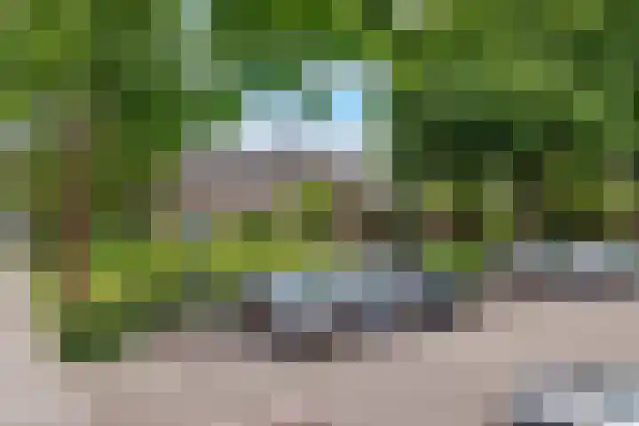 Albert Verweijlaan 104 Hillegom thumbnail 41