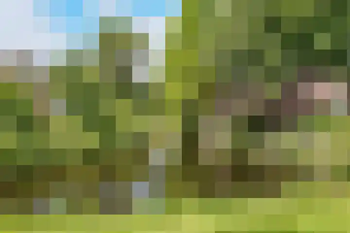 Albert Verweijlaan 104 Hillegom thumbnail 42