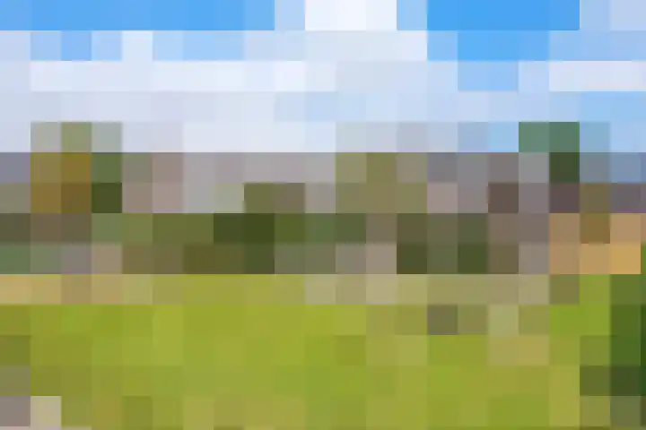 Albert Verweijlaan 104 Hillegom thumbnail 43