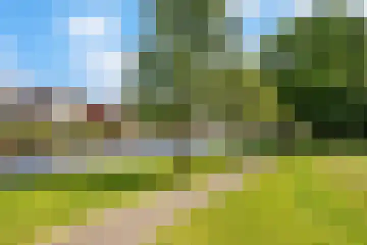 Albert Verweijlaan 104 Hillegom thumbnail 44