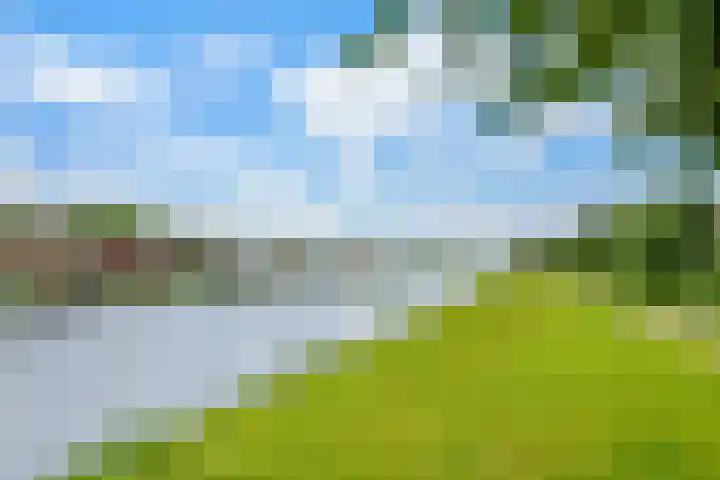 Albert Verweijlaan 104 Hillegom thumbnail 47