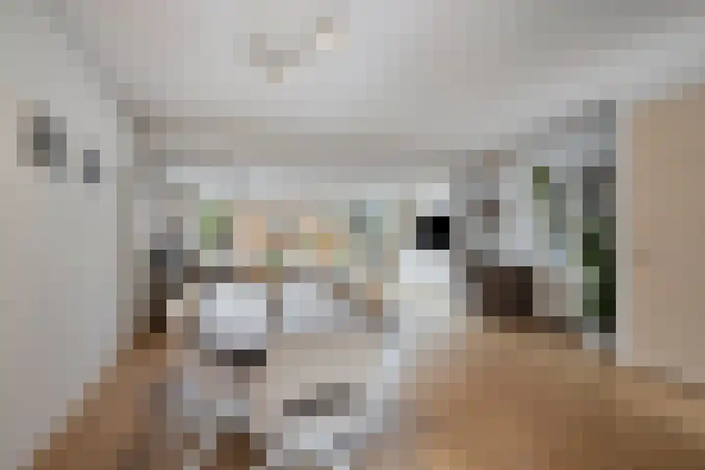 Albert Verweijlaan 108 Hillegom thumbnail 12