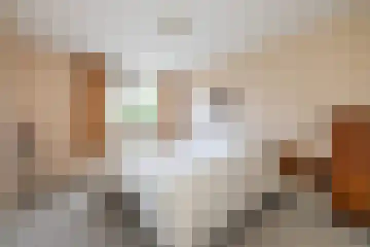 Albert Verweijlaan 31 Hillegom thumbnail 18