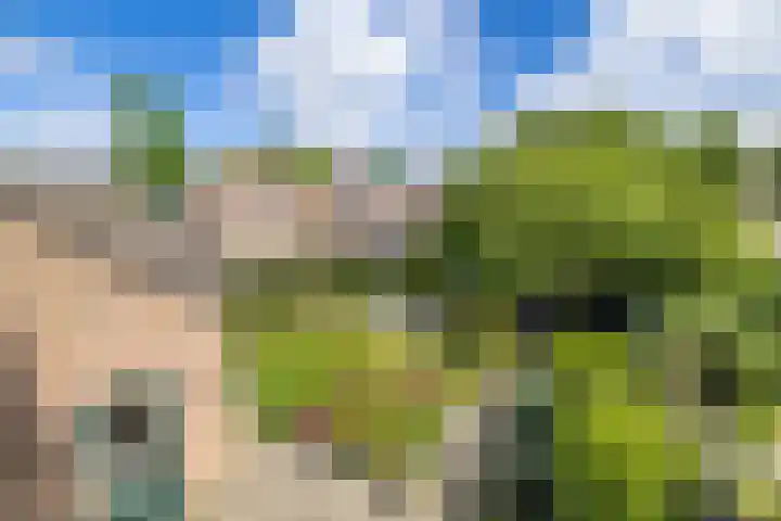 Albert Verweijlaan 31 Hillegom thumbnail 26