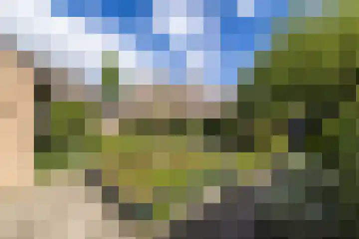 Albert Verweijlaan 31 Hillegom thumbnail 27