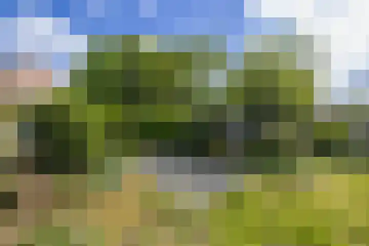 Albert Verweijlaan 31 Hillegom thumbnail 28