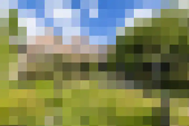 Albert Verweijlaan 31 Hillegom thumbnail 29