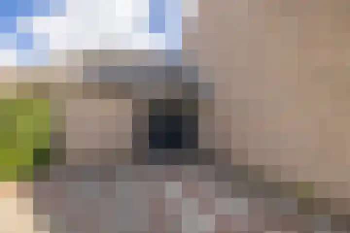 Albert Verweijlaan 31 Hillegom thumbnail 30