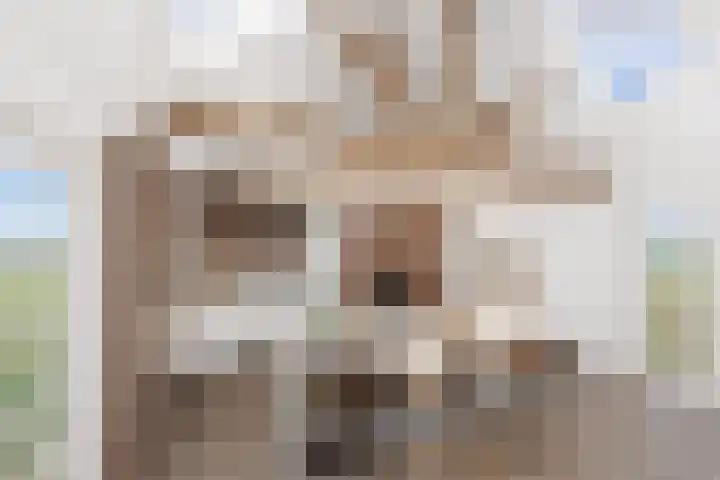 Albert Verweijlaan 31 Hillegom thumbnail 34