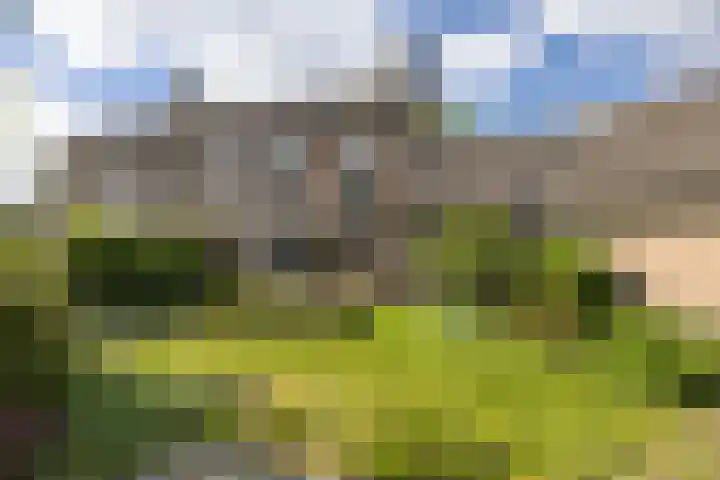 Albert Verweijlaan 31 Hillegom thumbnail 4