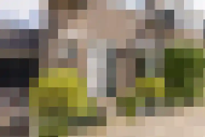 Albert Verweijlaan 31 Hillegom thumbnail 7